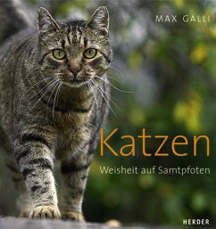 Katzen - Galli, Max