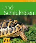 Landschildkröten