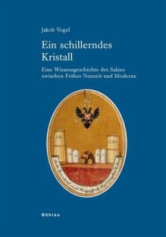 Cover Ein schillerndes Kristall