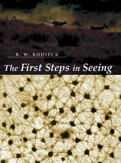 Cover First Steps in Seeing