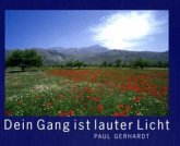 Dein Gang ist lauter Licht