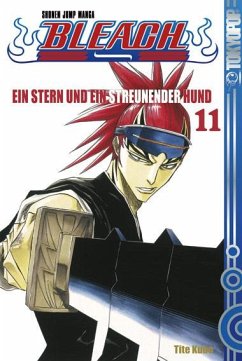 Ein Stern und ein streunender Hund / Bleach Bd.11 - Kubo, Tite