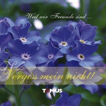 Vergiss mein nicht Vergiss mein nicht