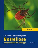 Borreliose