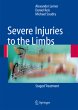 Severe Injuries to the Limbs - Bild 1