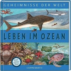 Leben im Ozean