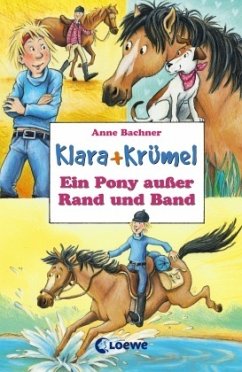 Ein Pony außer Rand und Band (Band 5) - Bachner, Anne