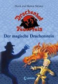 Der magische Drachenstein / Drachenhof Feuerfels Bd.2
