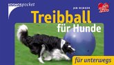 Treibball für Hunde: Für unterwegs Für unterwegs