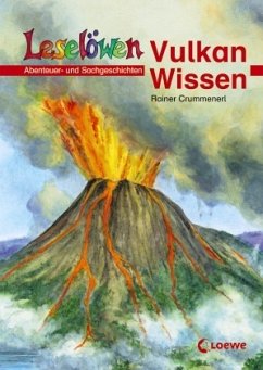 Vulkan-Wissen - Crummenerl, Rainer