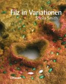 Filz in Variationen