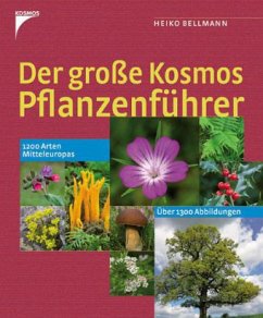Der große Kosmos Pflanzenführer - Bellmann, Heiko