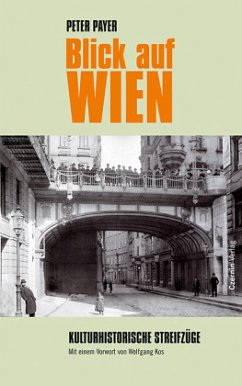 Blick auf Wien - Payer, Peter