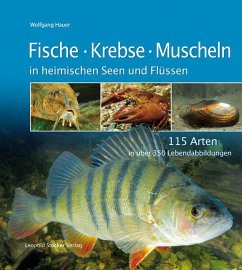 Fische, Krebse und Muscheln in heimischen Seen und Flüssen - Hauer, Wolfgang