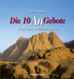 Die 10 AnGebote - Leibrock, Felix