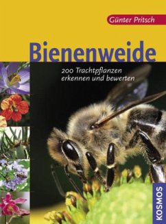 Bienenweide - Pritsch, Günter