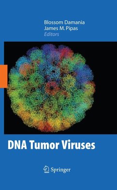 DNA Tumor Viruses - Damania, Blossom / Pipas, James (ed.)