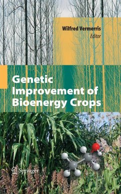 Genetic Improvement of Bioenergy Crops - Vermerris, Wilfred (ed.)