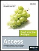 Microsoft Office Access 2007 - Programmier-Rezepte