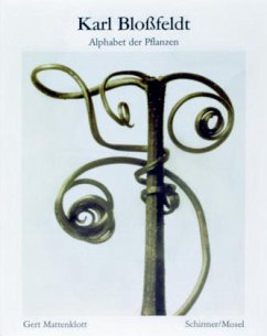 Alphabet der Pflanzen - Blossfeldt, Karl