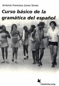 Cover Curso basico de la gramatica del espanol