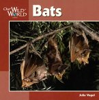 Bats Bats
