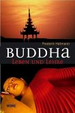 Buddha, Leben und Lehre