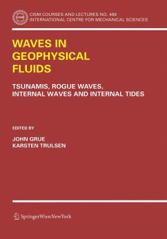 Waves in Geophysical Fluids - Grue, John / Trulsen, Karsten (eds.)