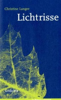 Lichtrisse - Langer, Christine