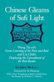 Chinese Gleams of Sufi Light