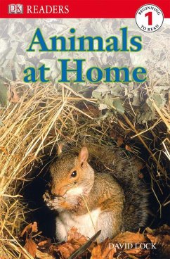 DK Readers L1: Animals at Home - Lock, David