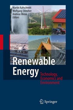 Renewable Energy - Kaltschmitt, Martin / Wiese, Andreas / Streicher, Wolfgang (eds.)