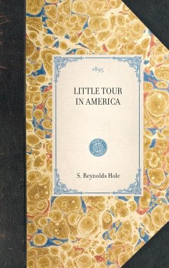 Little Tour in America - Hole, S. Reynolds