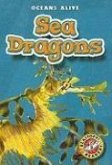 Sea Dragons