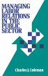Managing Labor Relations in the Public... - Bild 1