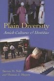 Plain Diversity: Amish Cultures and Identities