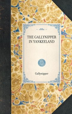 THE GALLYNIPPER IN YANKEELAND~ - Gallynipper