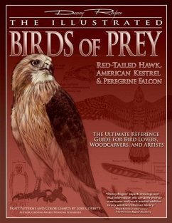 Illustrated Birds of Prey: Red-Tailed Hawk, American Kestral, & Peregrine Falcon - Rogers, Denny