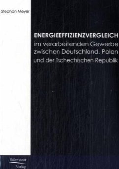 Energieeffizienzvergleich im verarbeitenden Gewerbe in Deutschland, Polen und Tschechien - Meyer, Stefan