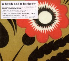 A Hawk And A Hacksaw - A Hawk And A Hacksaw