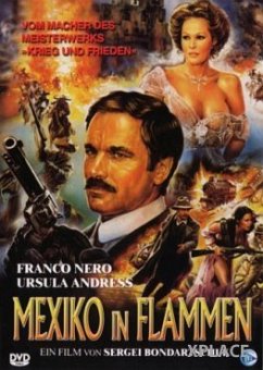 Mexiko in Flammen