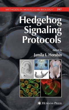 Hedgehog Signaling Protocols - Horabin, Jamila I. (ed.)