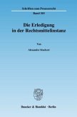 Die Erledigung in der Rechtsmittelinstanz.