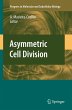 Asymmetric Cell Division - Bild 1