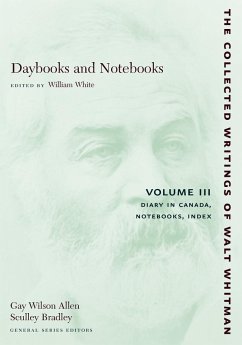 Cover Daybooks and Notebooks: Volume III