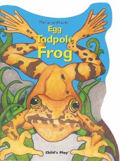 Egg, Tadpole, Frog - L' Hommedieu, Arthur John