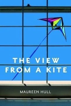 View from a Kite - Hull, Maureen