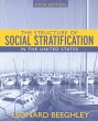 The Structure of Social Stratification... - Bild 1