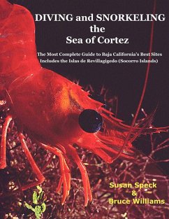 Diving and Snorkeling the Sea of Cortez
