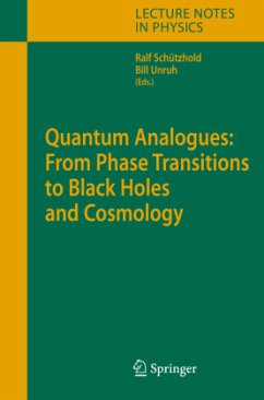 Quantum Analogues: From Phase Transitions to Black Holes and Cosmology - Schützhold, Ralf / Unruh, William (eds.)